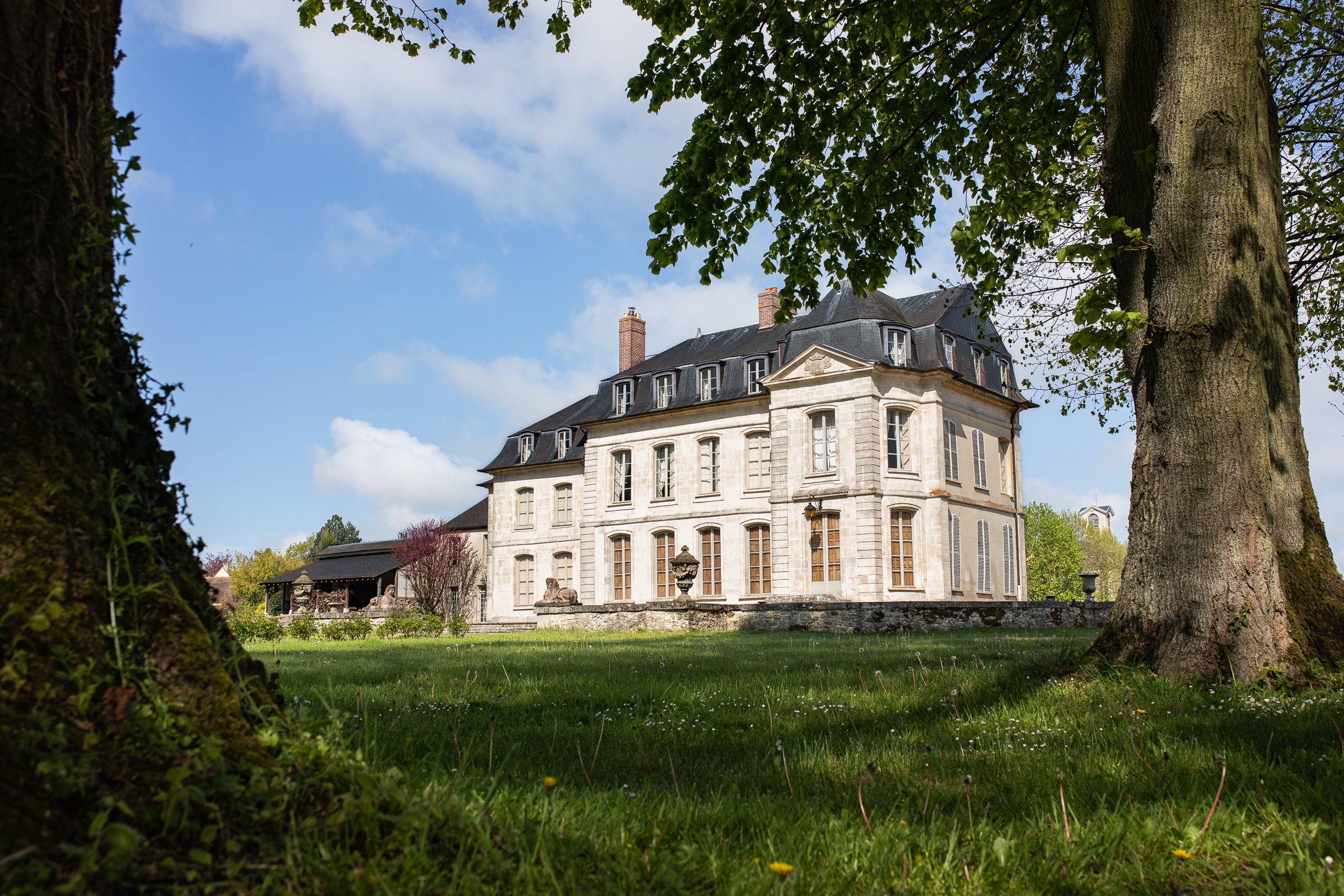 homme en costume de mariage couleur bordeaux dans un jardin